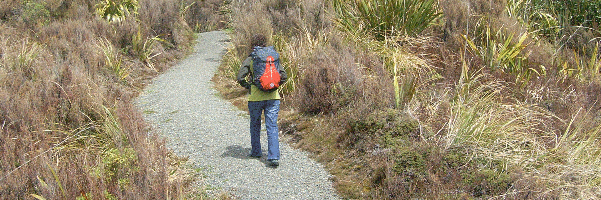 hiking with stylin waterproof backpack